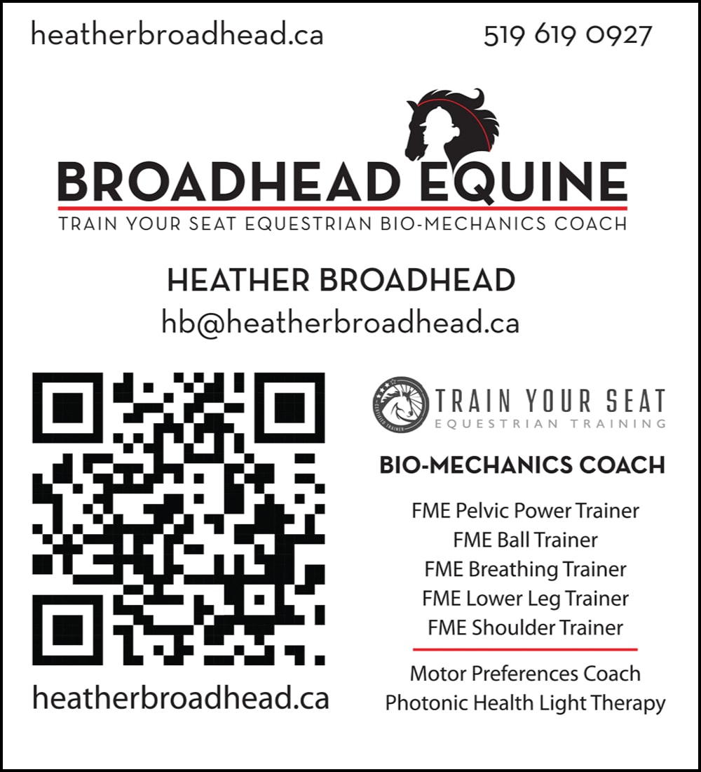 Broadhead Equine