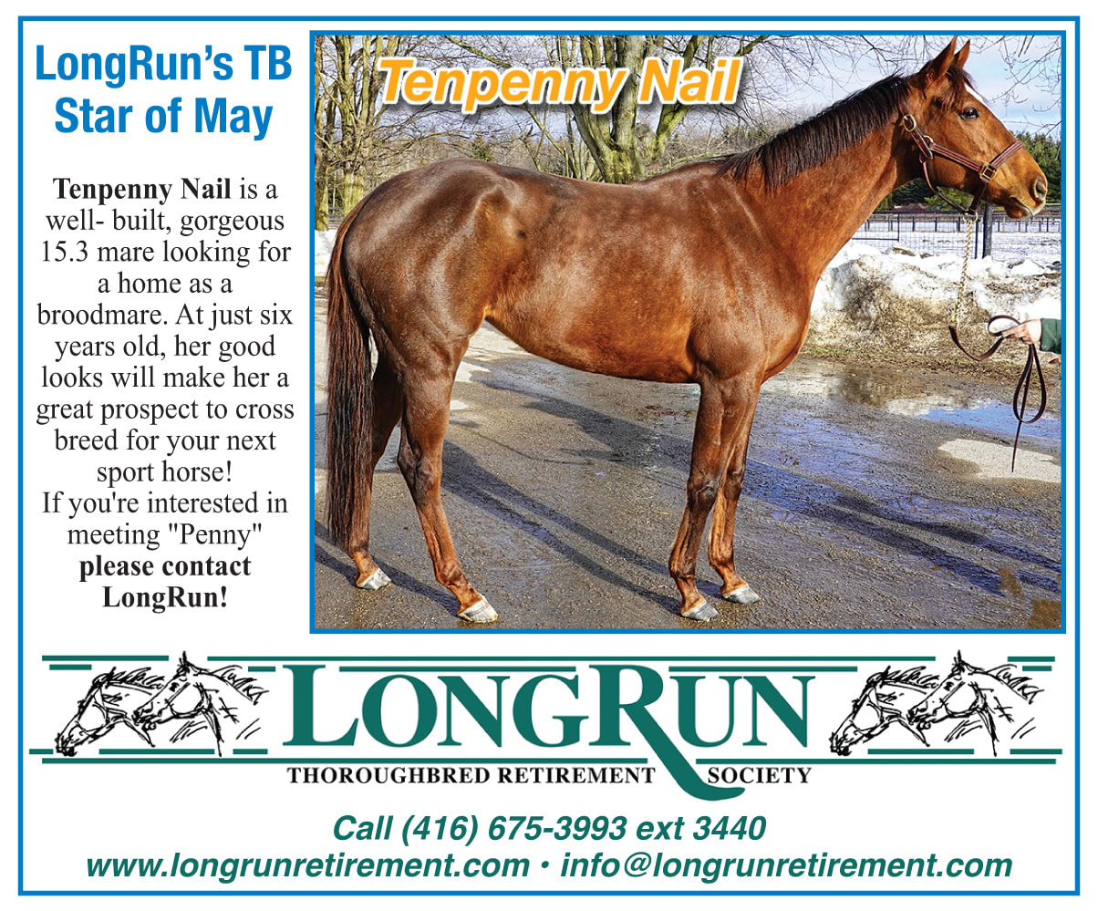 Longrun Thoroughbred Star of the Month