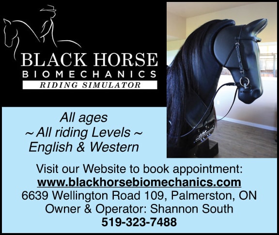 Black Horse Biomechanics