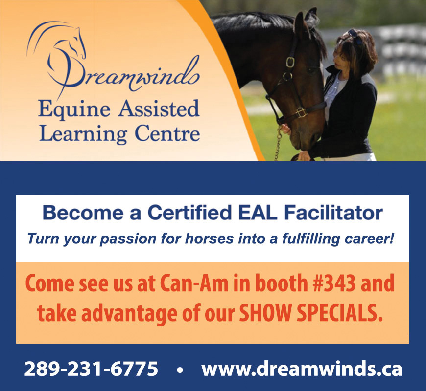 Dreamwinds Equines Assisted Learning Centre