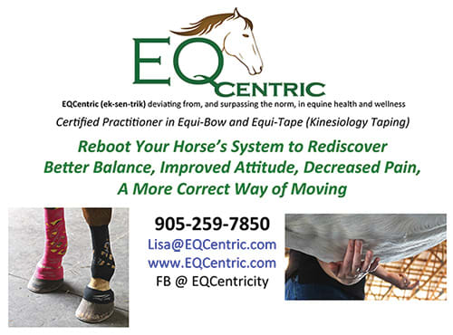 Equine Natural Therapy