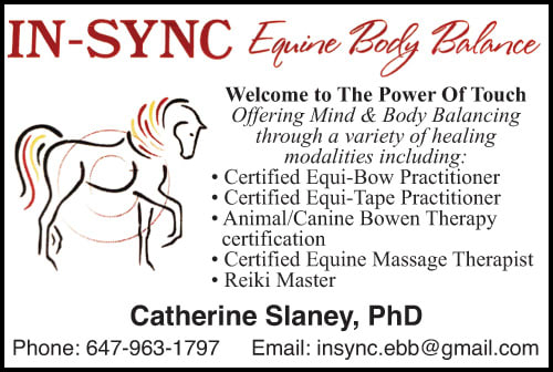 In-Sync Equine Body Balance