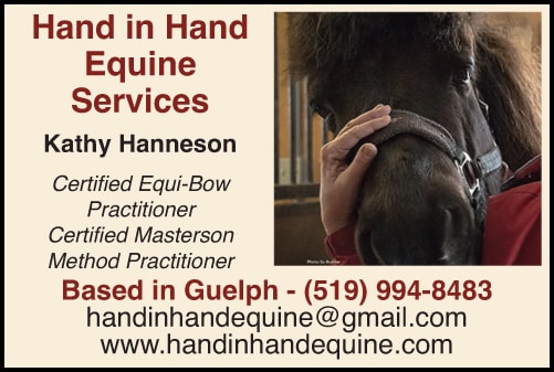 Hand in Hand Equine Services
