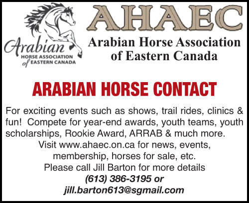 Arabian Horse Association of Eastern Canada
