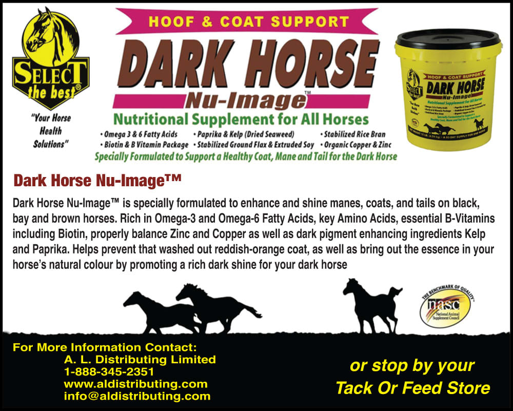 dark horse nu-image