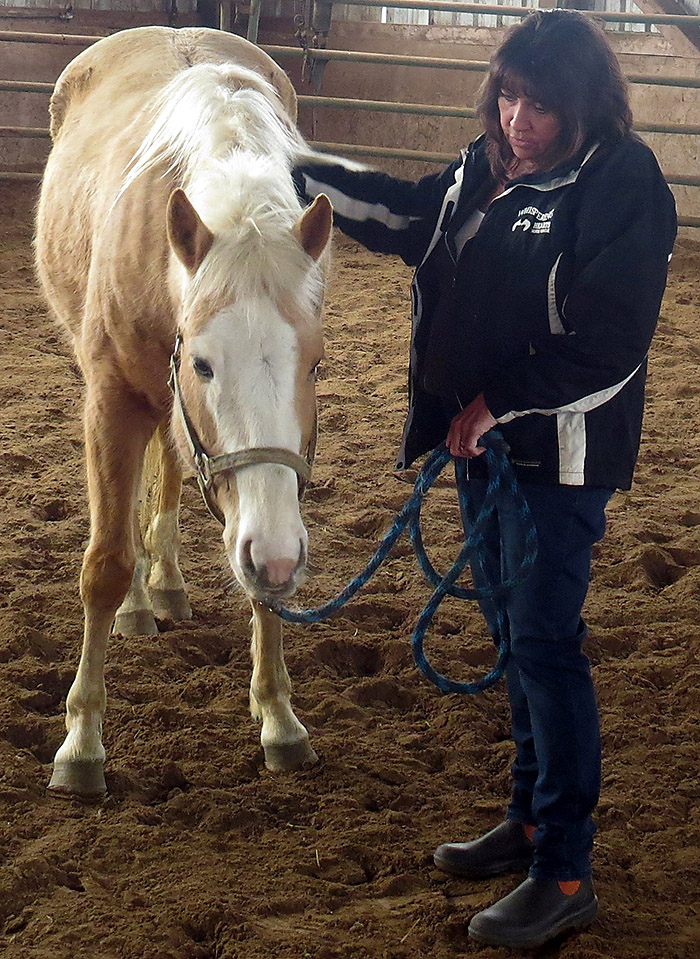 Brenda and Sand Dollar the Horse