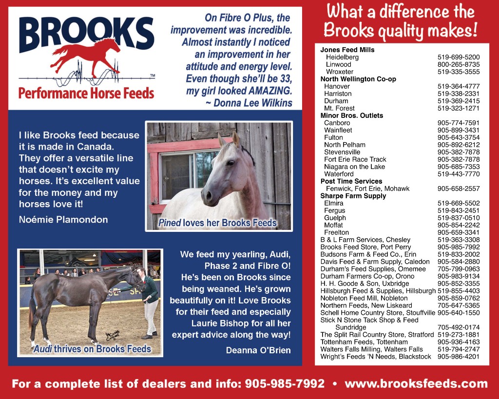 Brooks Performance Horse Feed