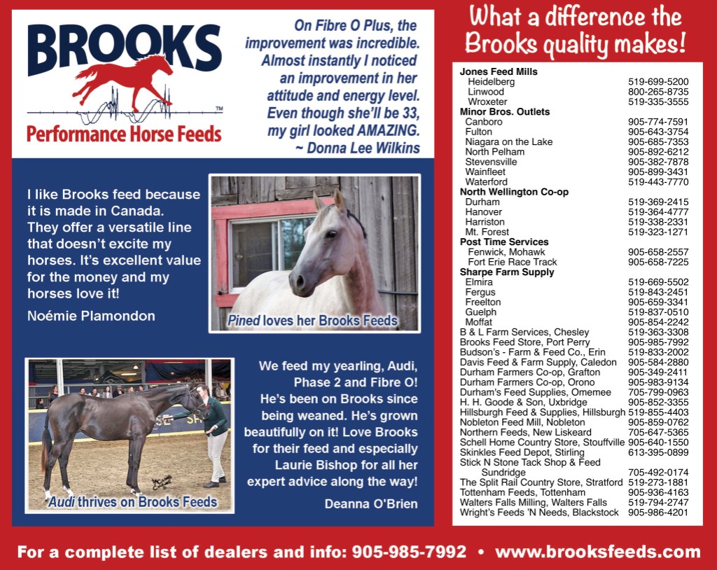 Brooks Performance Horse Feed
