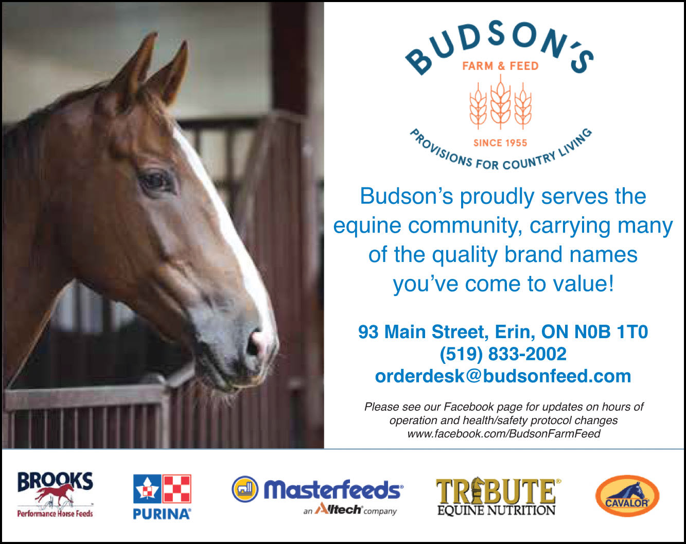 Budson's Feeds