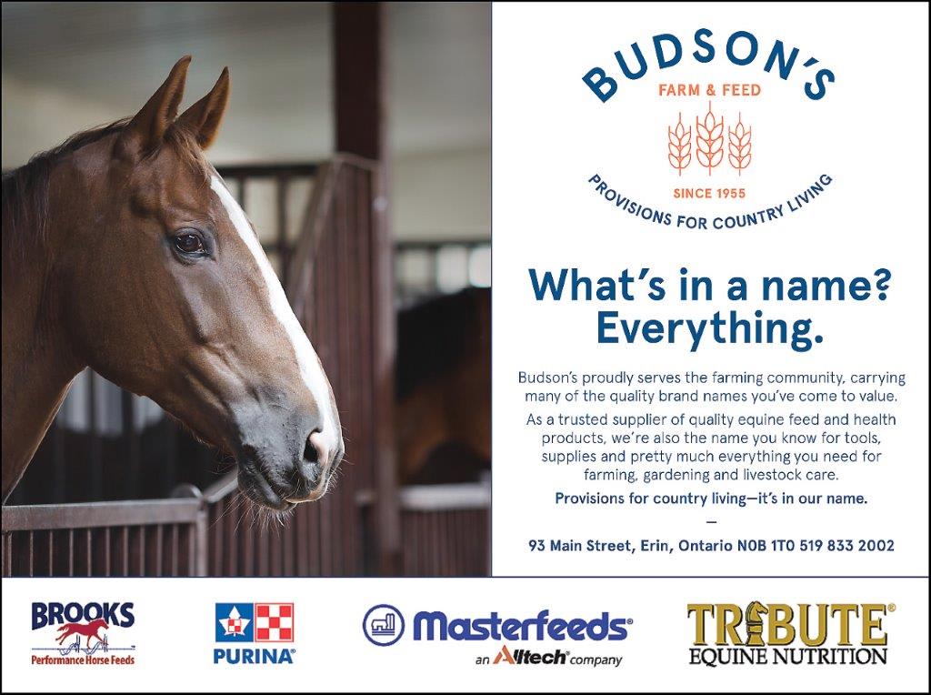 Budson's Feeds