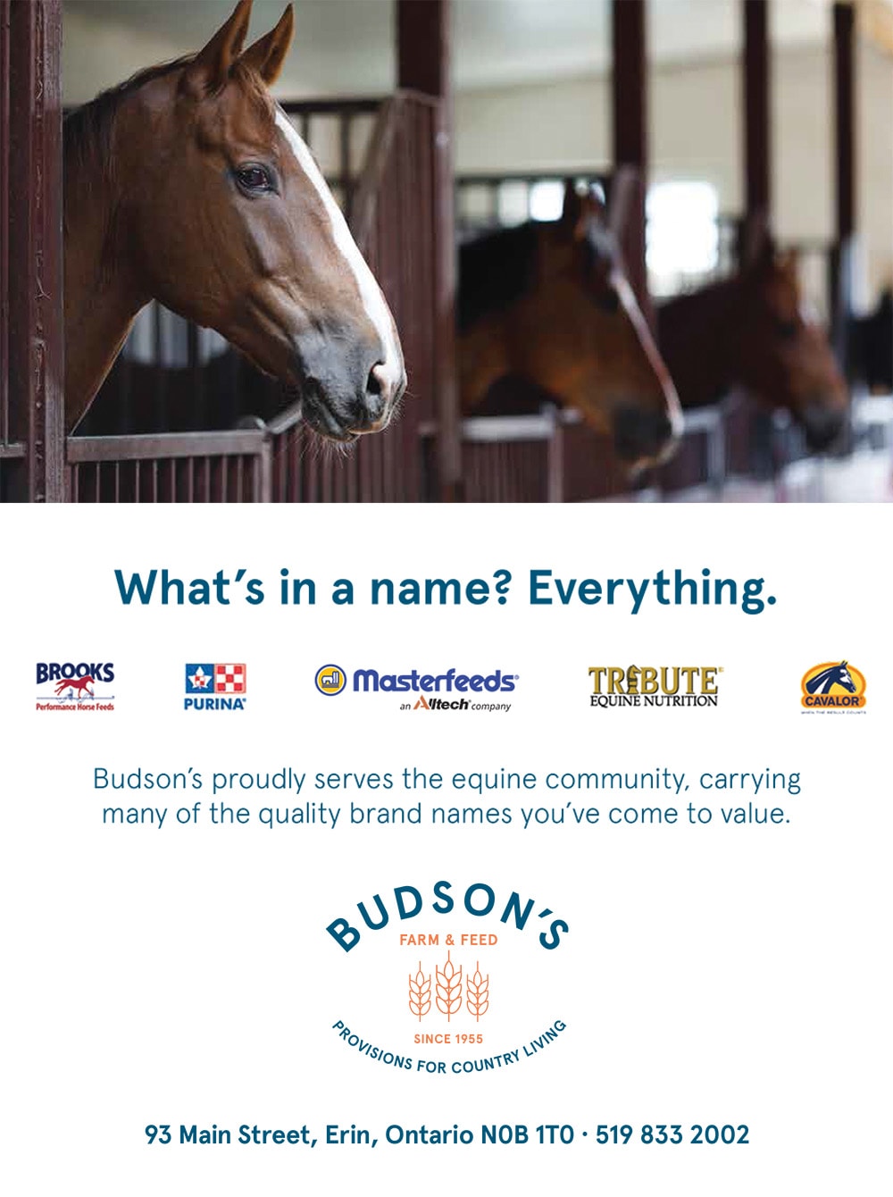 Budson's Feeds
