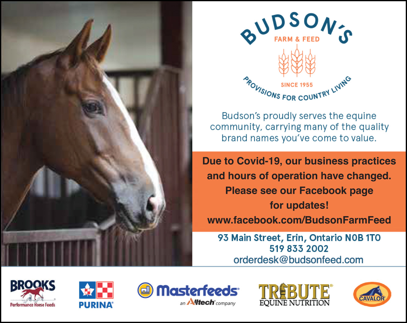 Budson's Feeds