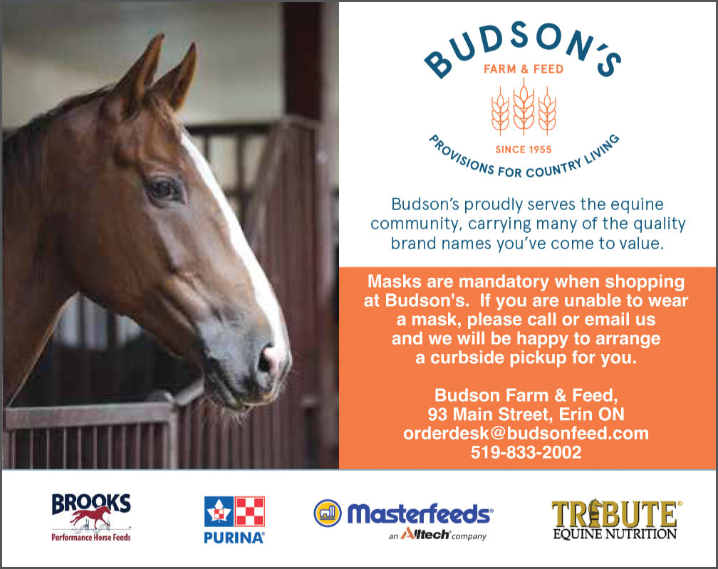 Budson's Feeds