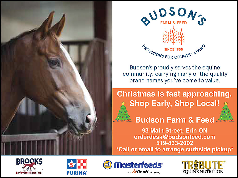 Budson's Feed