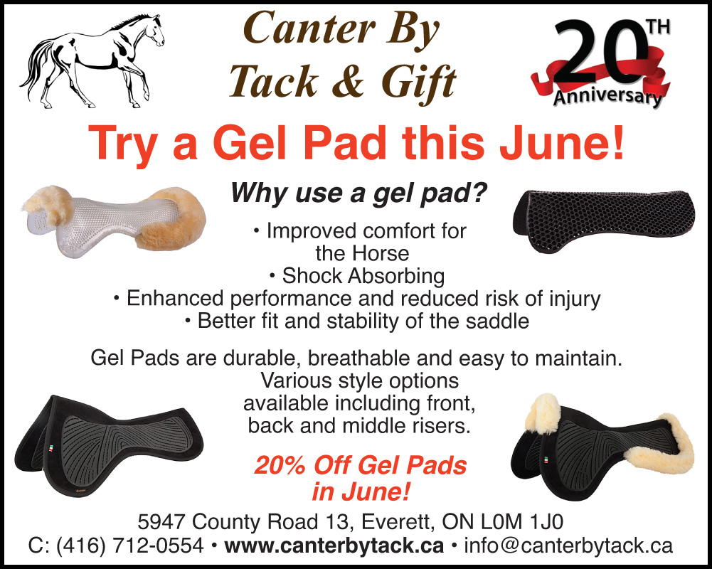 Canter By Tack