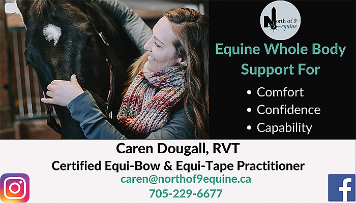 Caren Dougall - North of 9 Equine