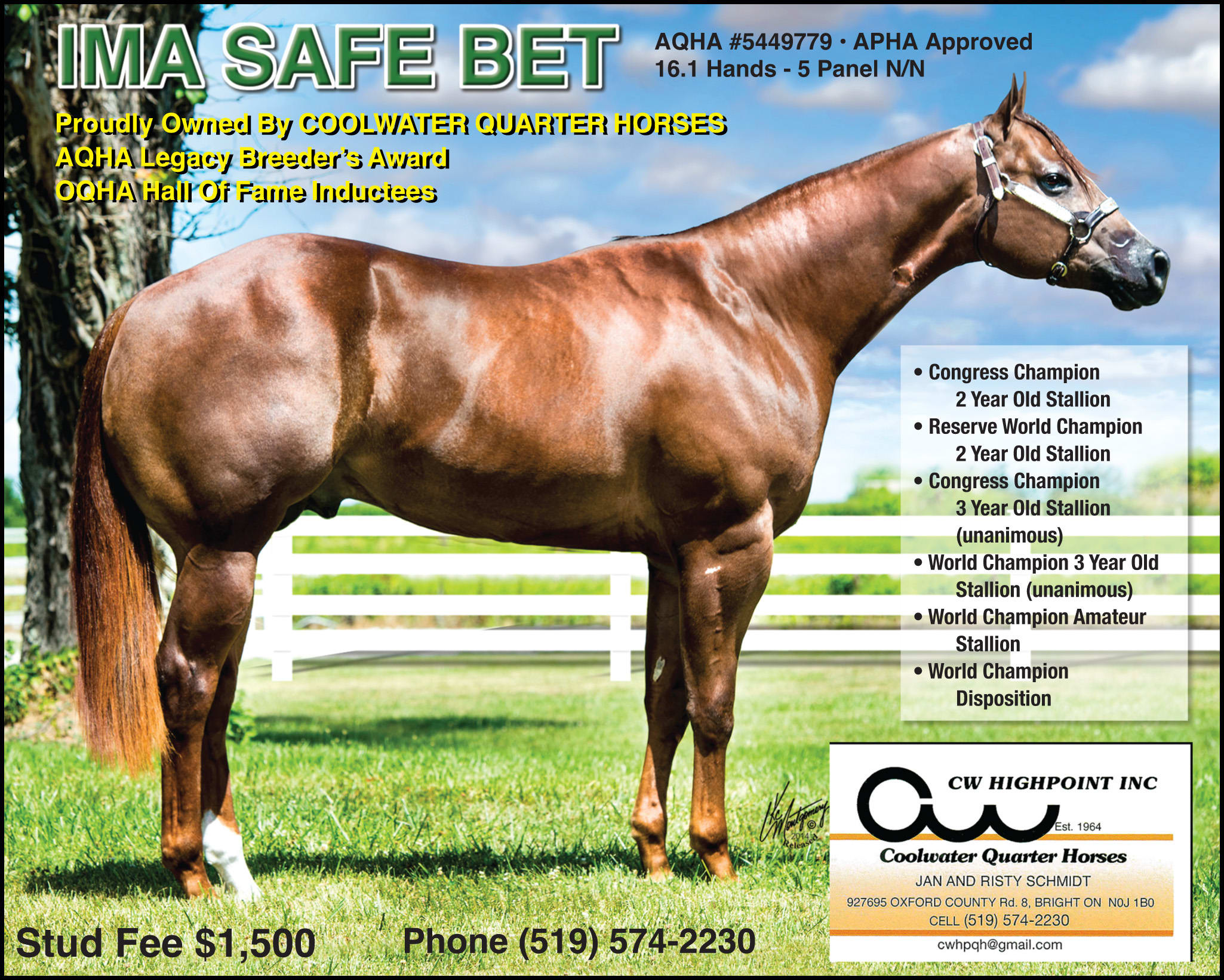 Coolwater Quarter Horses