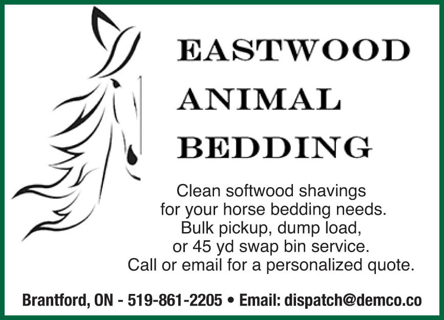 Eastwood Animal Bedding