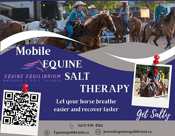 equine equilibrium