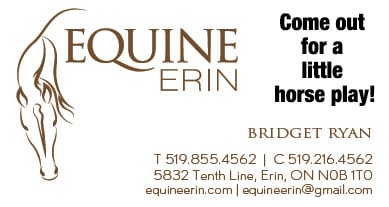 Equine Erin