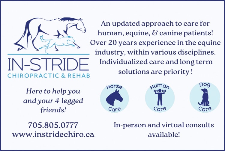 In-stride chiropractic