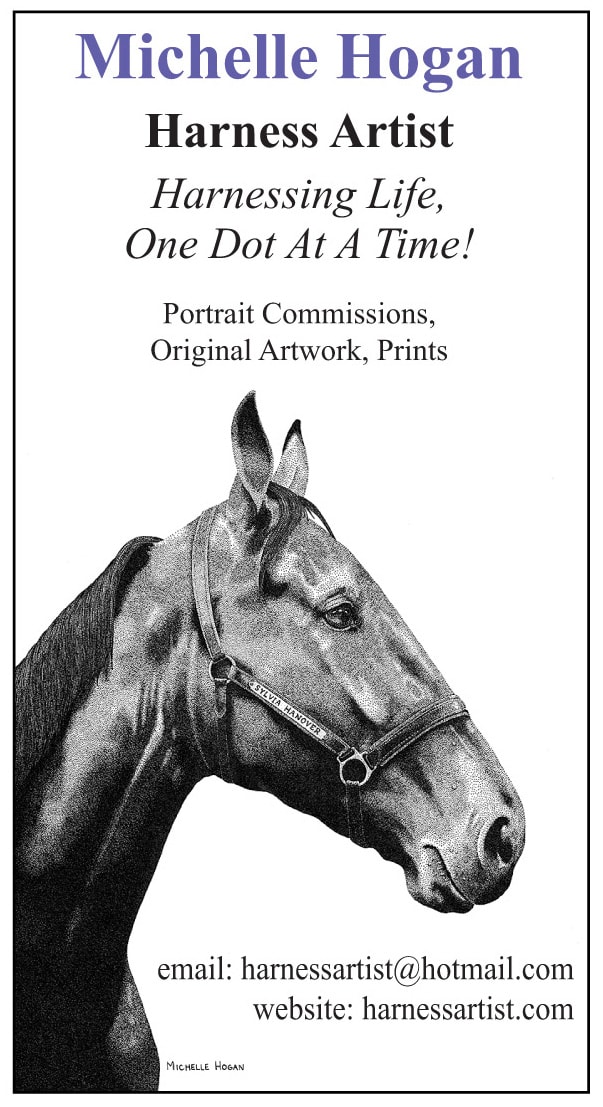 Michelle Hogan Harness Artist