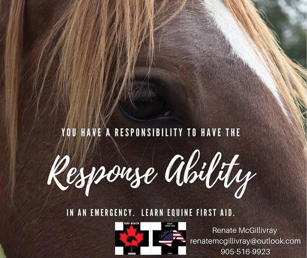 Response Ability Equine First Aid