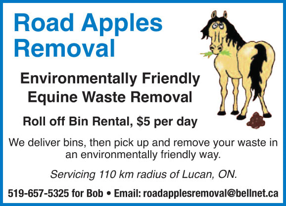 Road Apples Removal