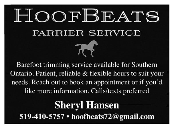 HoofBeats Farrier Service