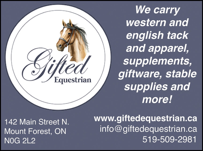 Gifted Equestrian