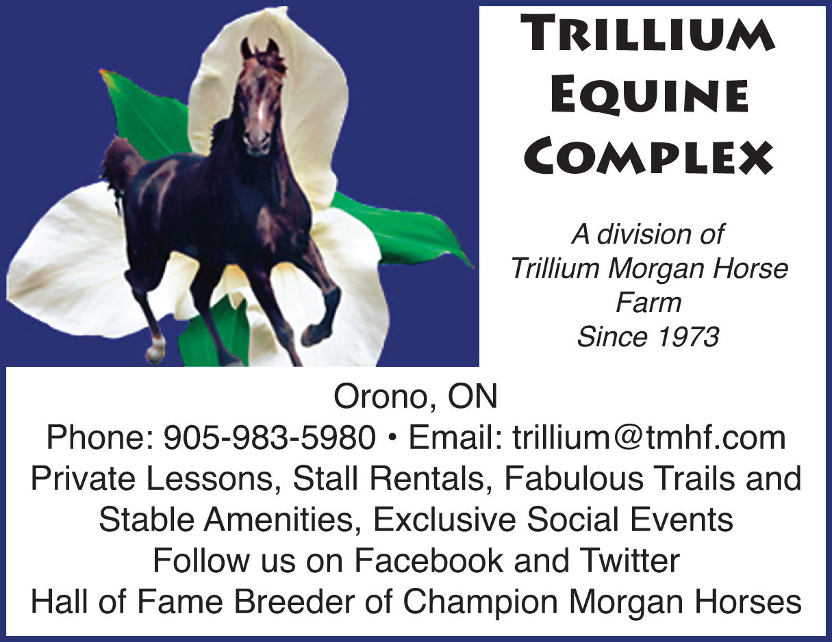 Trillium Equine Complex