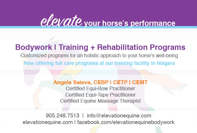 Elevation Equine Body Work