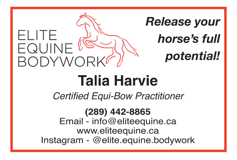 Elite Equine Bodywork