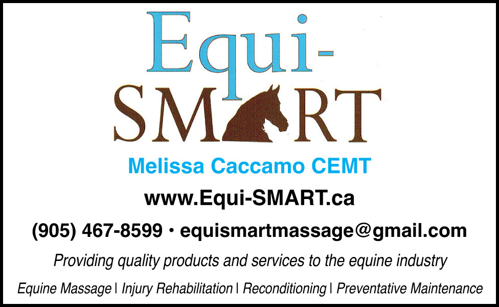 Equi-Smart