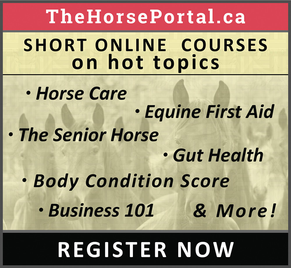 looking for help course