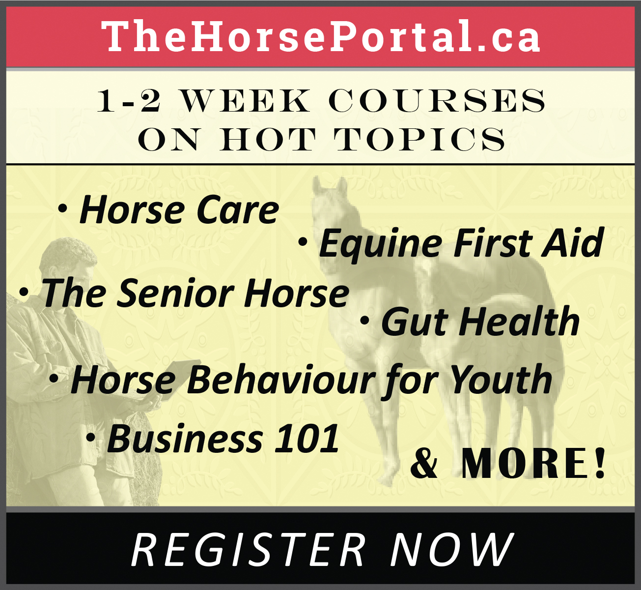 equine guelph short course