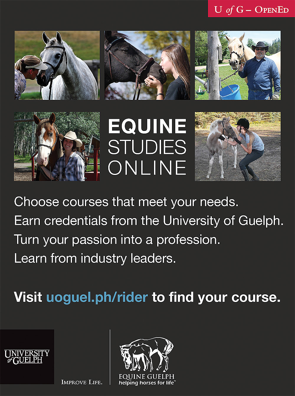 University of Guelph Equine Certificate and Diploma Programs