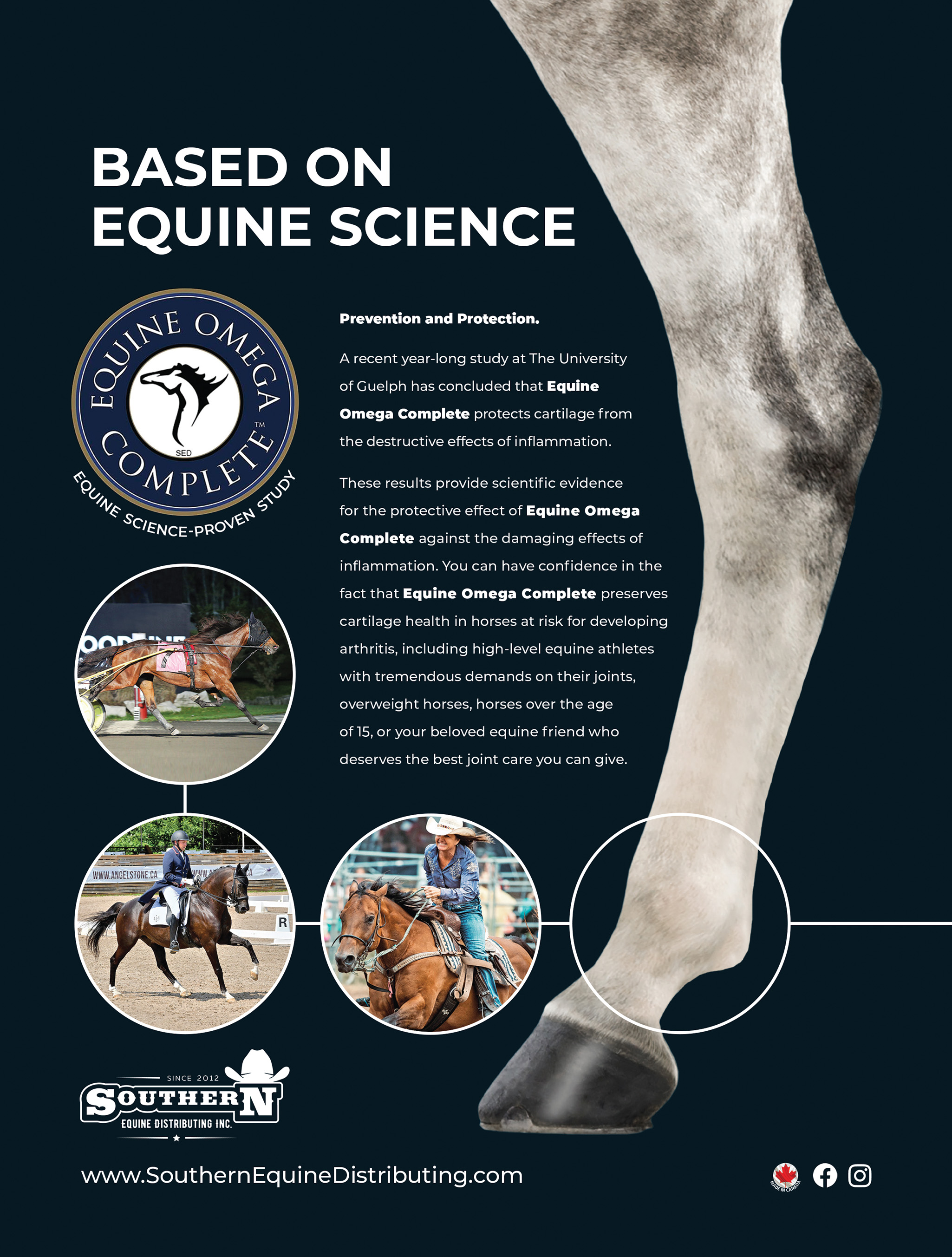 Southern Equine Distributing