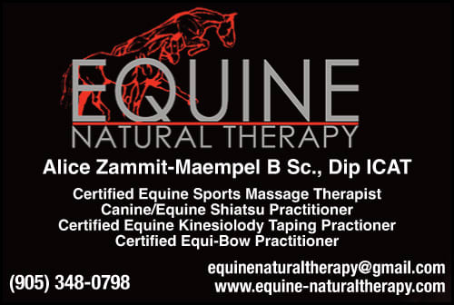 Equine Natural Therapy