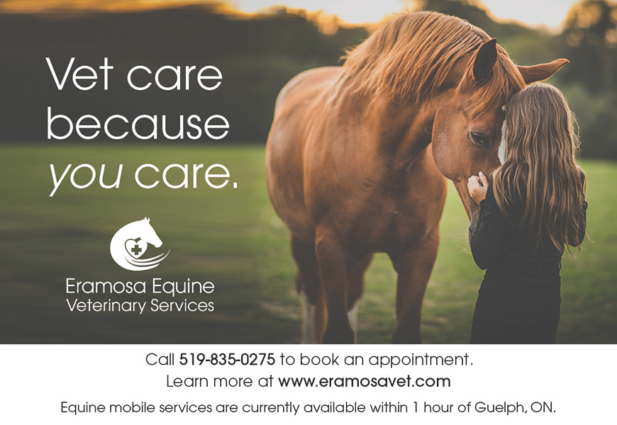 Eramosa Equine Veterinary Services