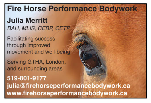 Fire Horse Performance Bodywork