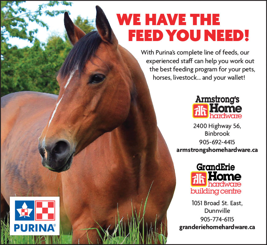 grand erie home hardware