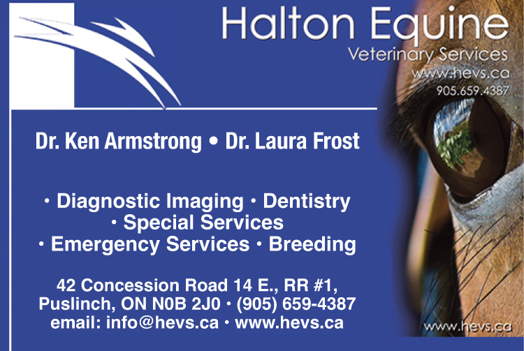 Halton Equine Veterinary Services