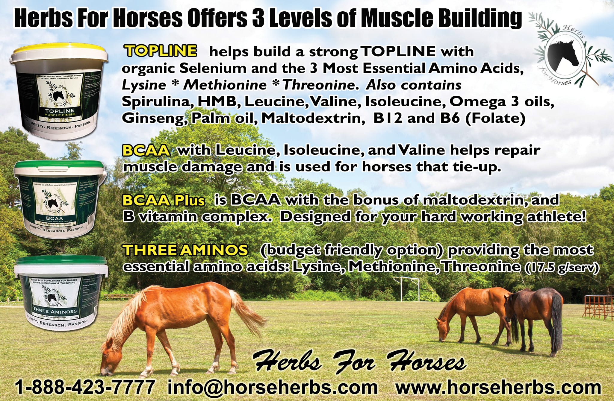 Herbs For Horses Horse Health The Rider Marketplace
