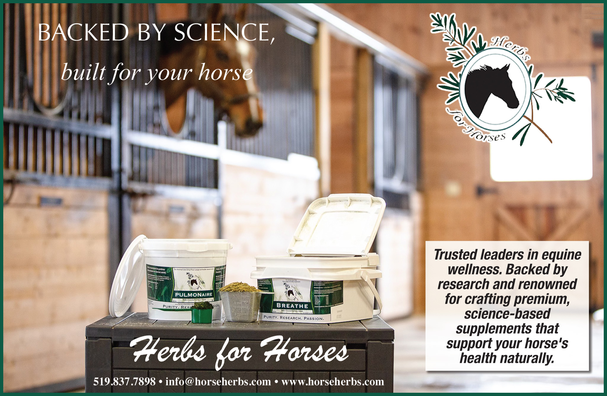 Herbs for Horses