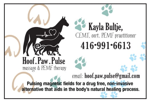 Hoof. Paw. Pulse