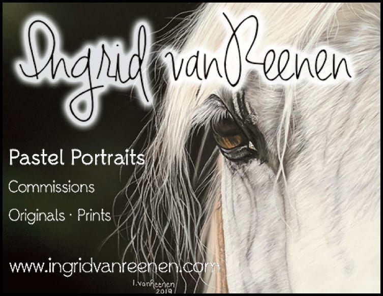 Ingrid van Reenen pet portraits