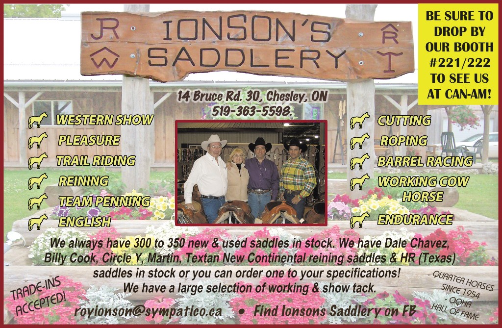 Ionson Saddlery