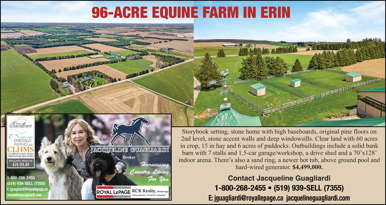 96 acre equestrian facility for sale