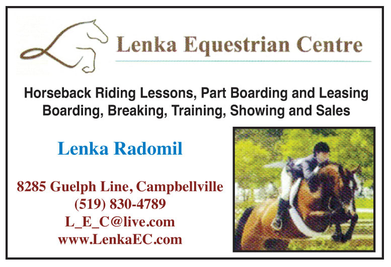 Lenka Equestrian